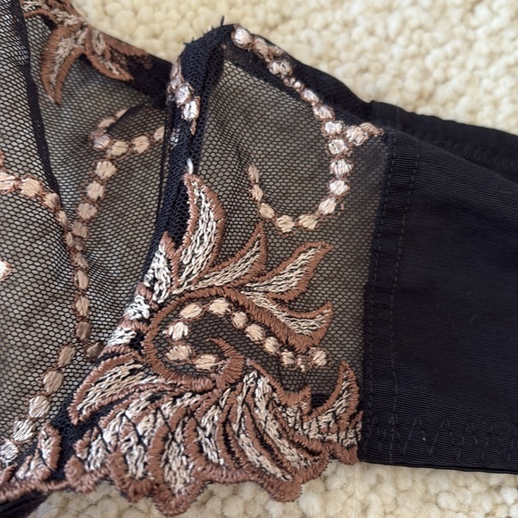 Elegant Lunaire Black and Tan embroidered sheer Bra - Picture 7 of 12